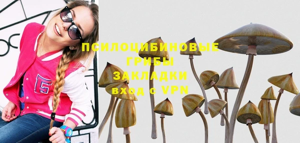 гашиш Абаза