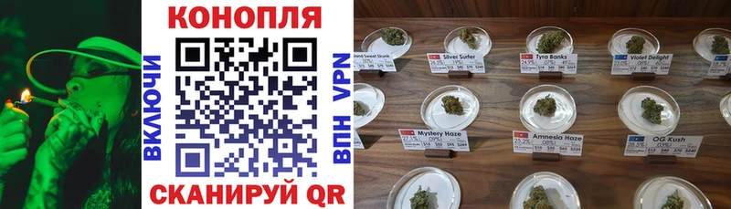 купить наркотик  Кинешма  МАРИХУАНА индика 
